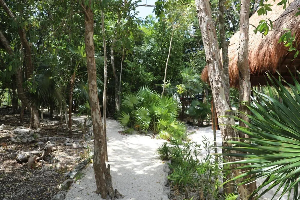 Beautiful House With A Private Pool Villa Puerto Morelos Holiday home