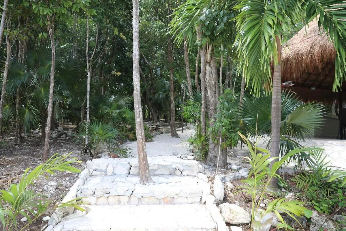 Beautiful House With A Private Pool Villa Puerto Morelos Holiday home
