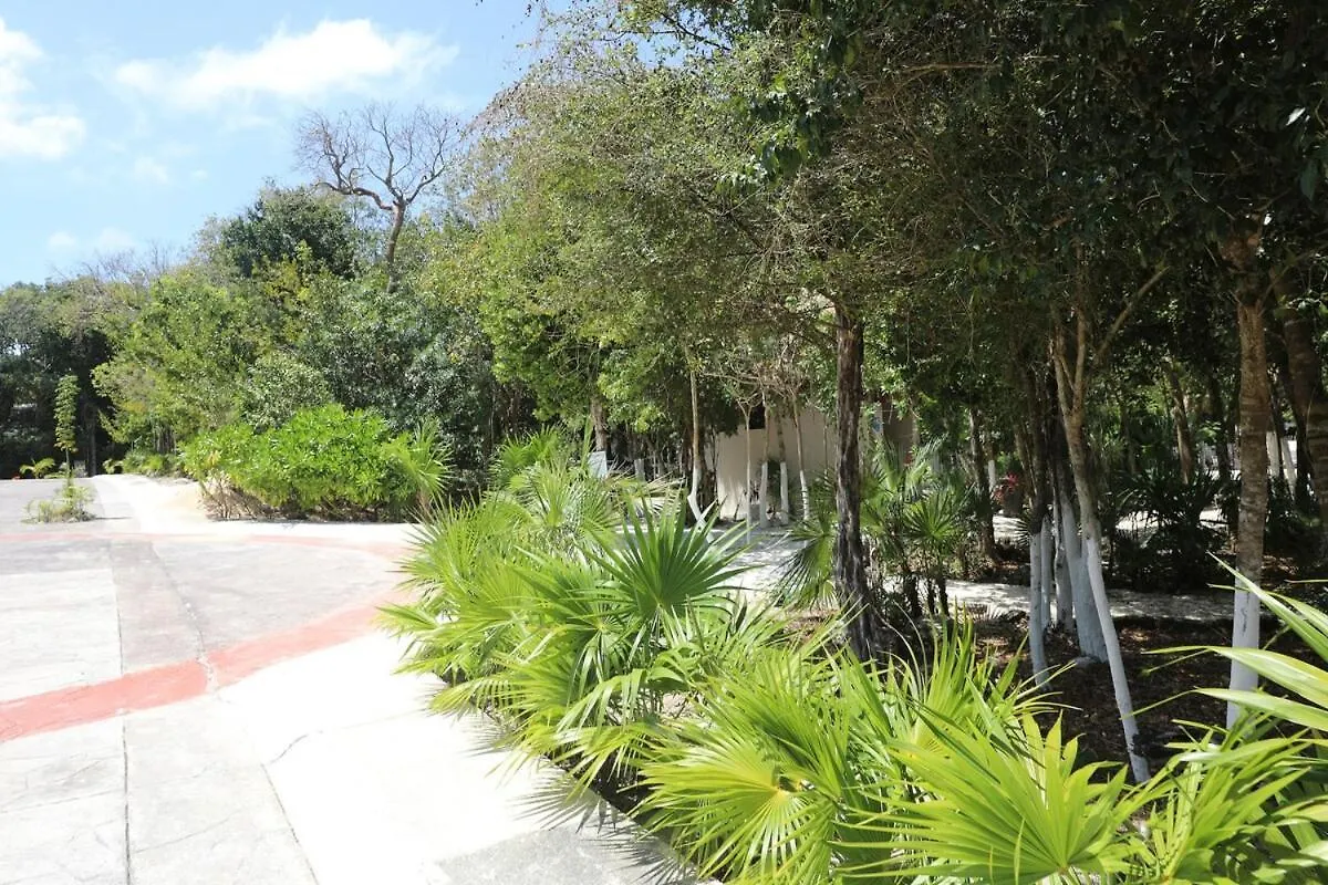 Beautiful House With A Private Pool Villa Puerto Morelos 0*,  Mexico