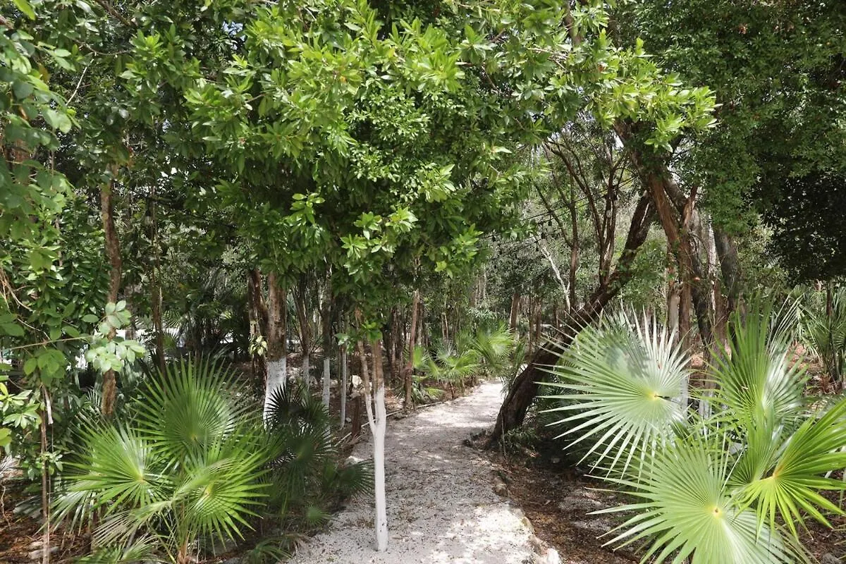 Beautiful House With A Private Pool Villa Puerto Morelos Holiday home