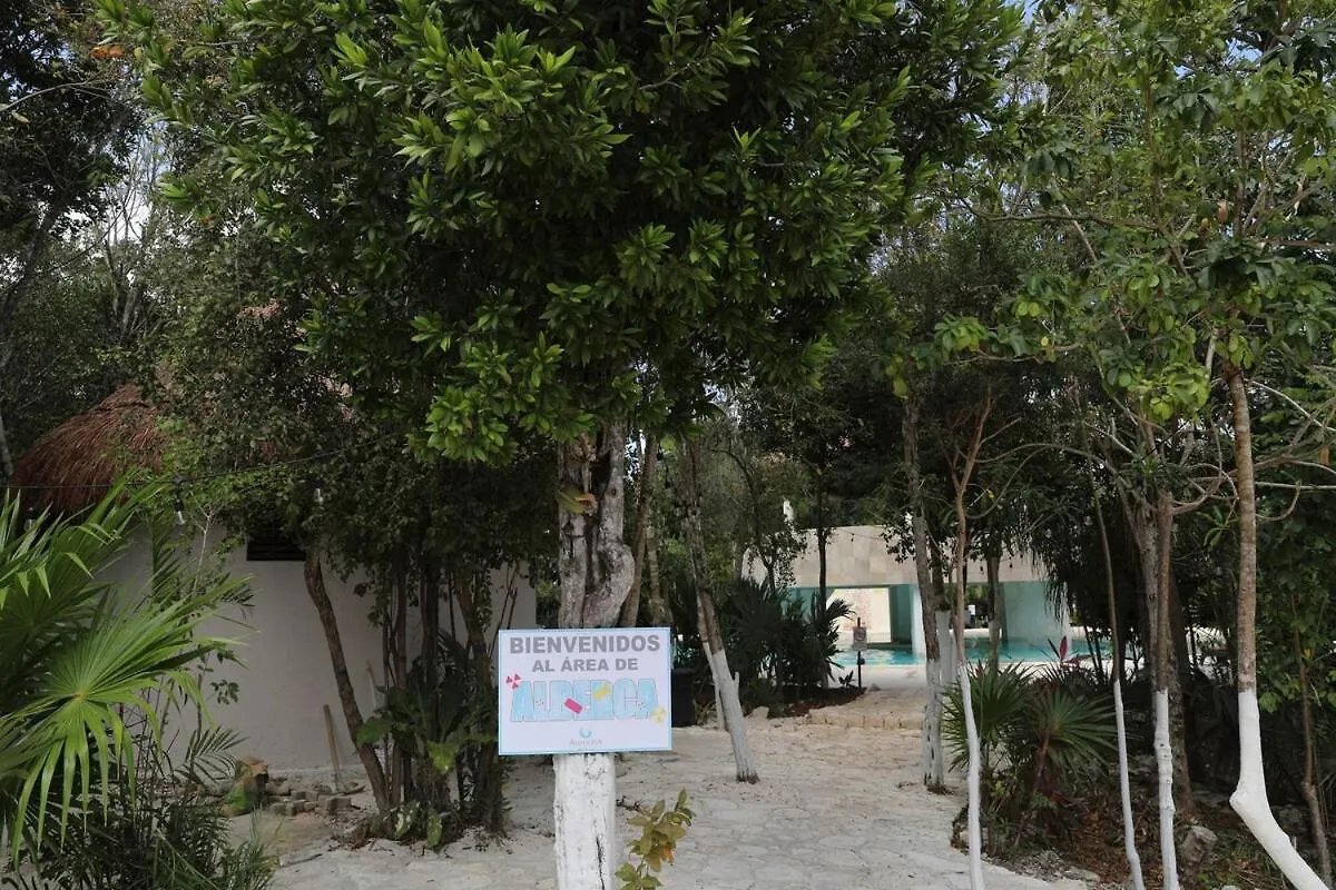 Beautiful House With A Private Pool Villa Puerto Morelos