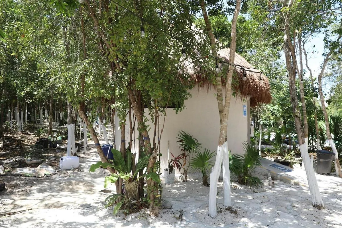 Beautiful House With A Private Pool Villa Puerto Morelos Mexico