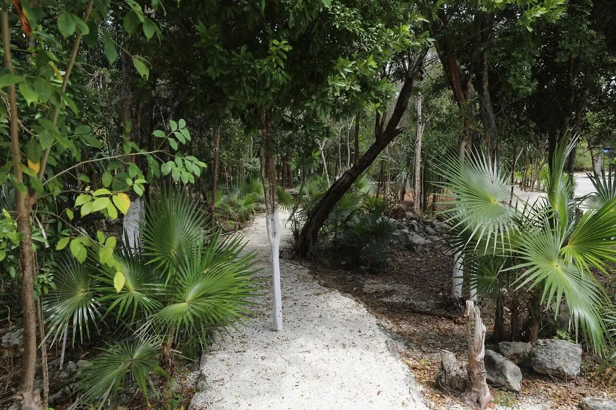 Beautiful House With A Private Pool Villa Puerto Morelos