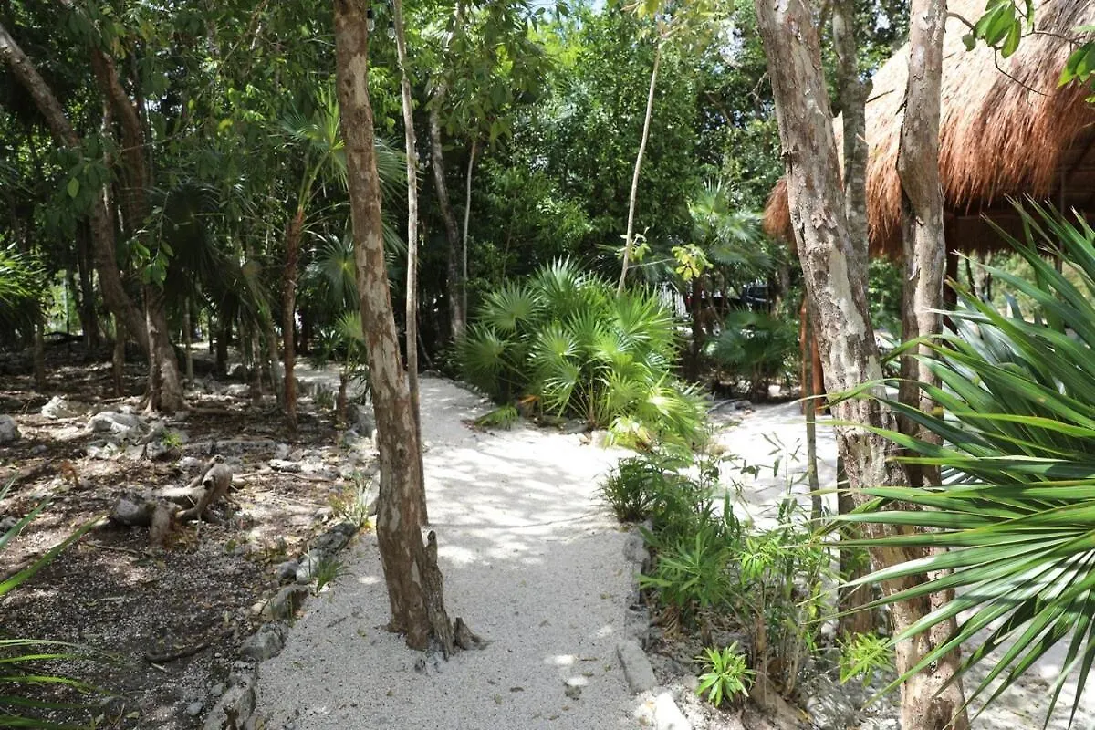 Holiday home Beautiful House With A Private Pool Villa Puerto Morelos