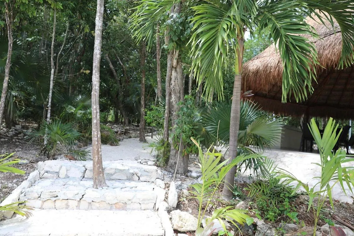 Beautiful House With A Private Pool Villa Puerto Morelos Holiday home
