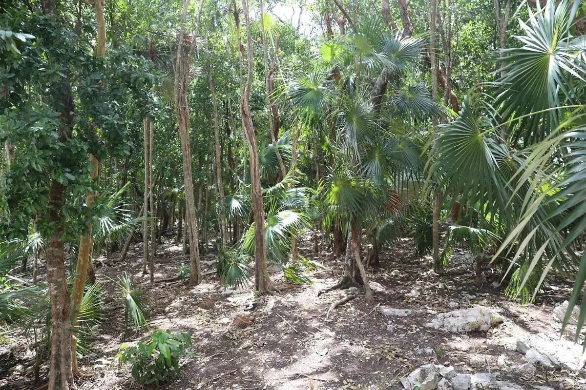 Beautiful House With A Private Pool Villa Puerto Morelos 0*,